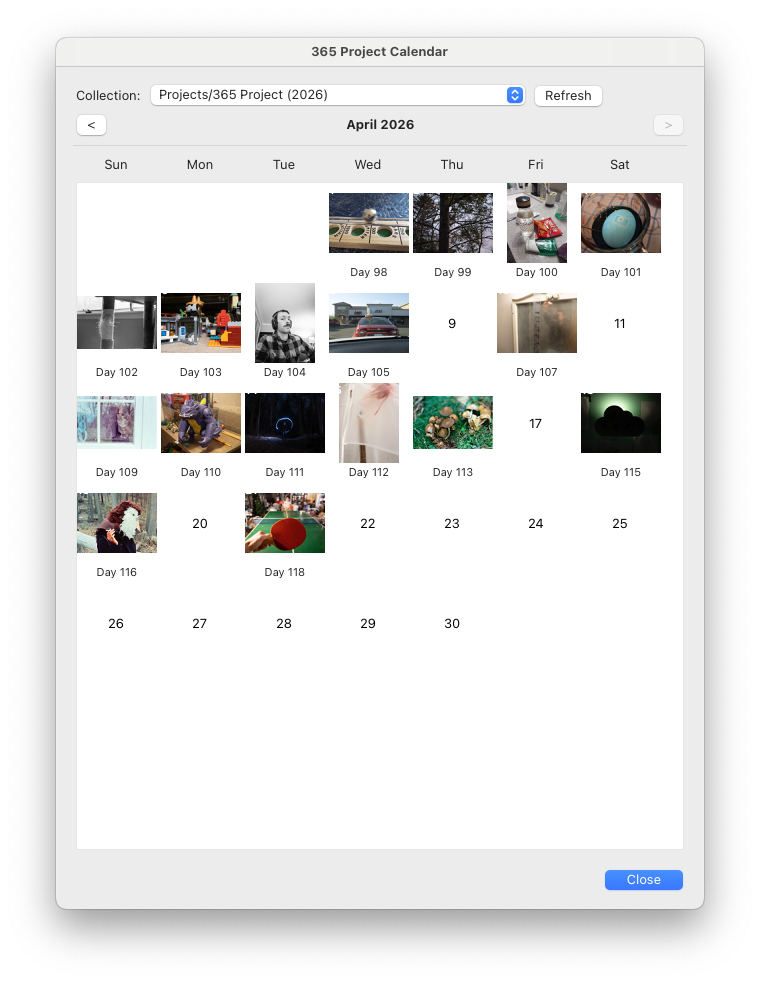 A screenshot of a calendar grid with photo thumbnails placed over each day. For days that are missing a photo the day number of the month is visible.